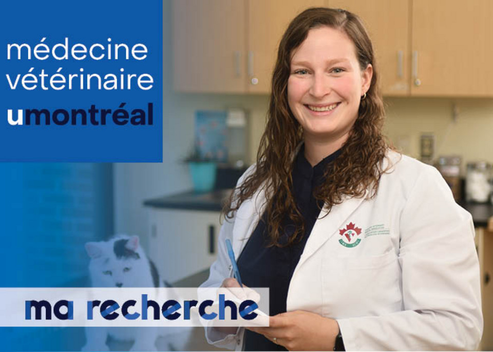 Ma Recherche | Claudel Bigras-Fontaine Ma Recherche | Claudel Bigras-Fontaine