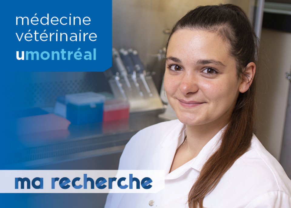 Ma Recherche | Gwladys Malek Ma Recherche | Gwladys Malek