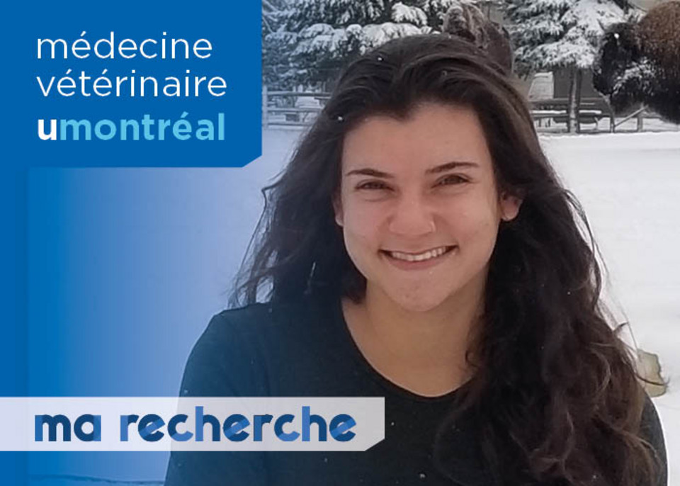 Ma Recherche | Yasmeen Prud'homme Ma Recherche | Yasmeen Prud'homme