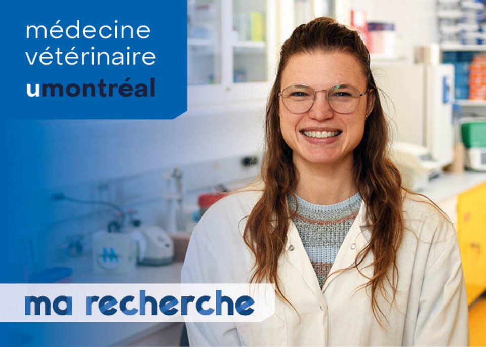 Ma Recherche | Audrey Corbeil Ma Recherche | Audrey Corbeil