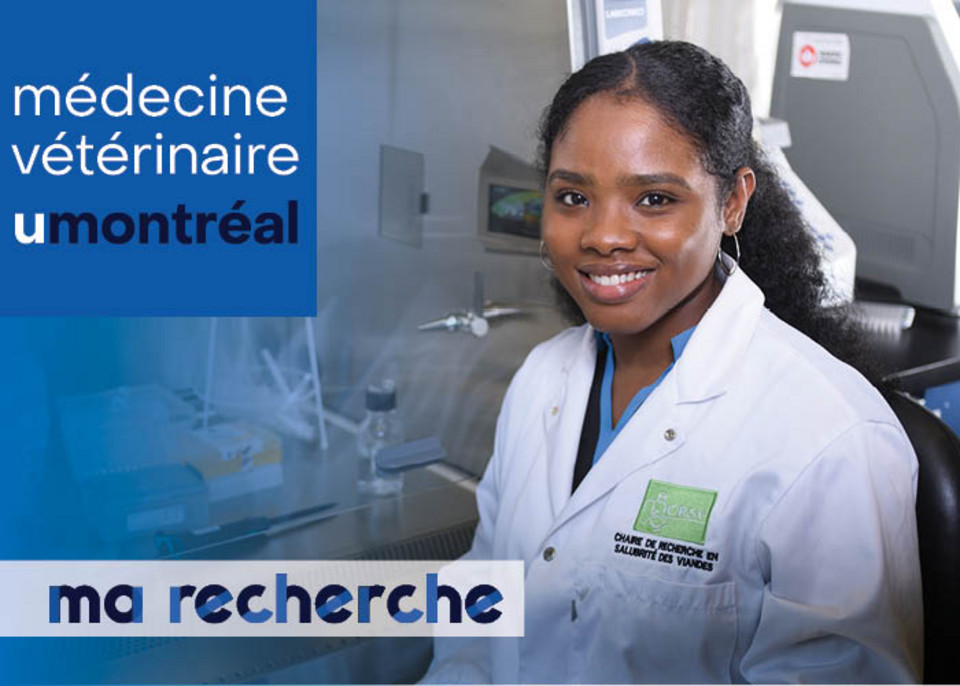 Ma Recherche | Schlasiva Cénatus Ma Recherche | Schlasiva Cénatus