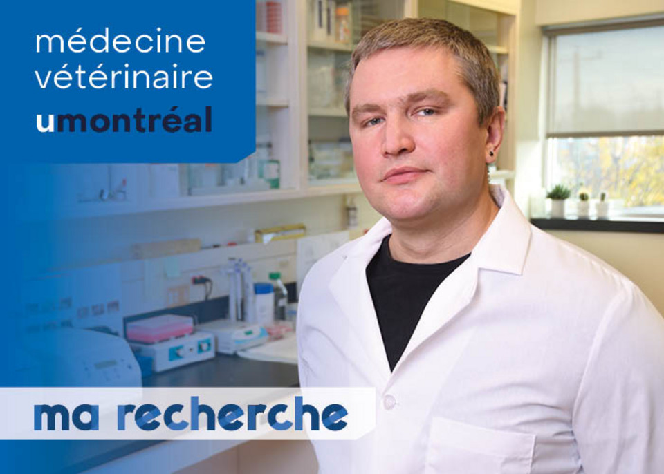 Ma Recherche | Ivan Pavlov Ma Recherche | Ivan Pavlov