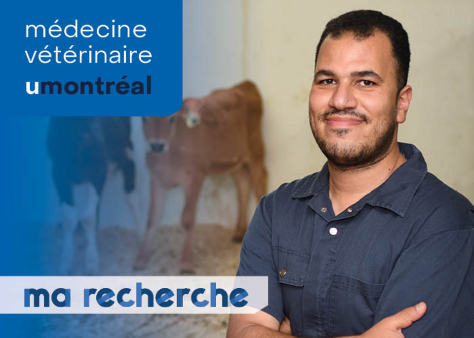 Ma Recherche | Abdelmonem Mohamed Ma Recherche | Abdelmonem Mohamed