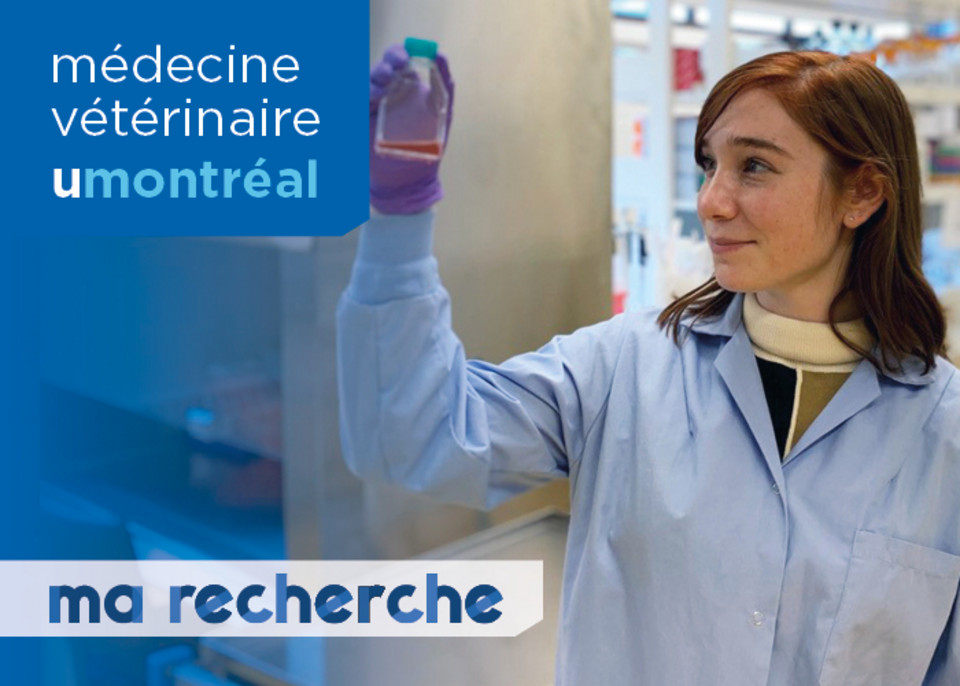 Ma Recherche | Victoria Wagner Ma Recherche | Victoria Wagner