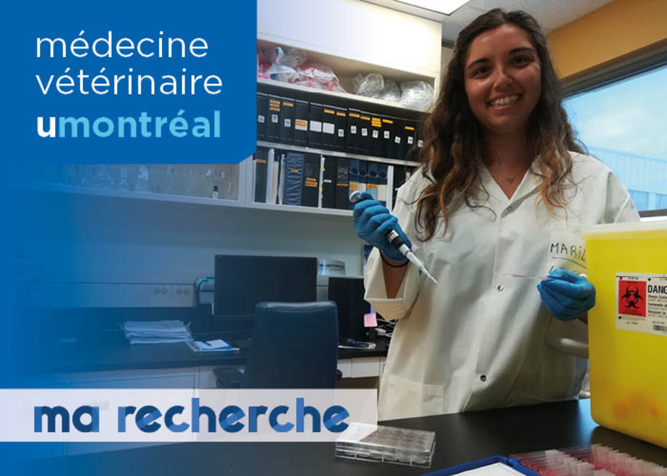 Ma Recherche | Marilyn Frezier Ma Recherche | Marilyn Frezier