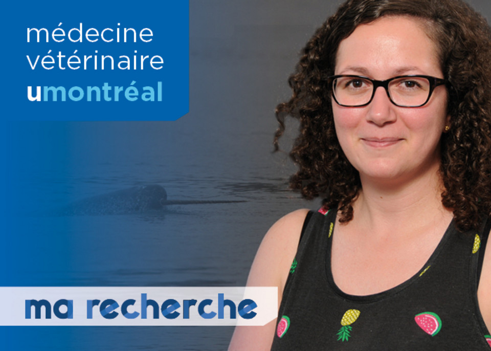 Ma Recherche | Karine Béland Ma Recherche | Karine Béland