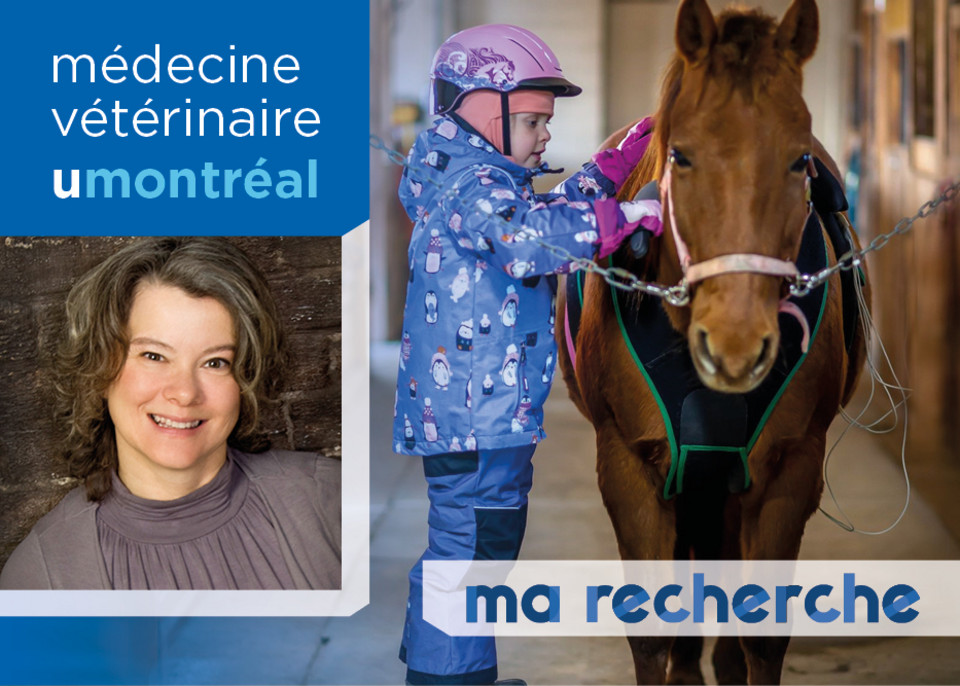Ma Recherche | Sylvie Drouin Ma Recherche | Sylvie Drouin