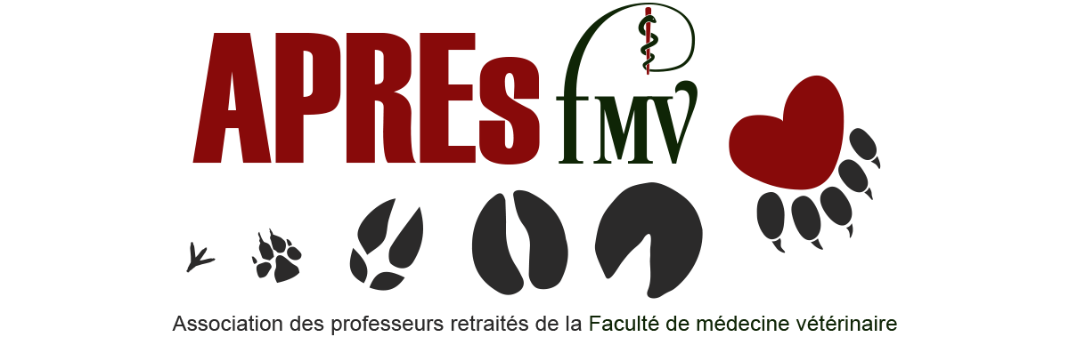 L'APREs FMV L'APREs FMV