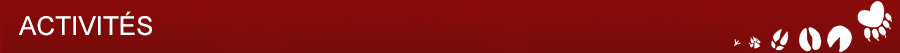 Séparateur - Activités Séparateur - Activités