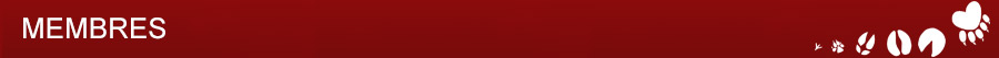 Séparateur - Membres Séparateur - Membres