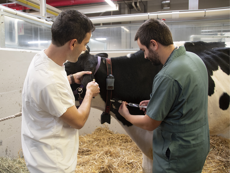 Clinique ambulatoire Clinique ambulatoire